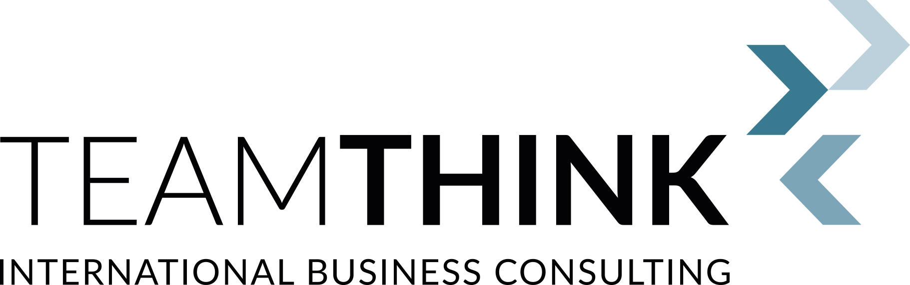 TEAMTHINK